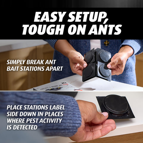 12 station package provides broad coverage for larger homes.