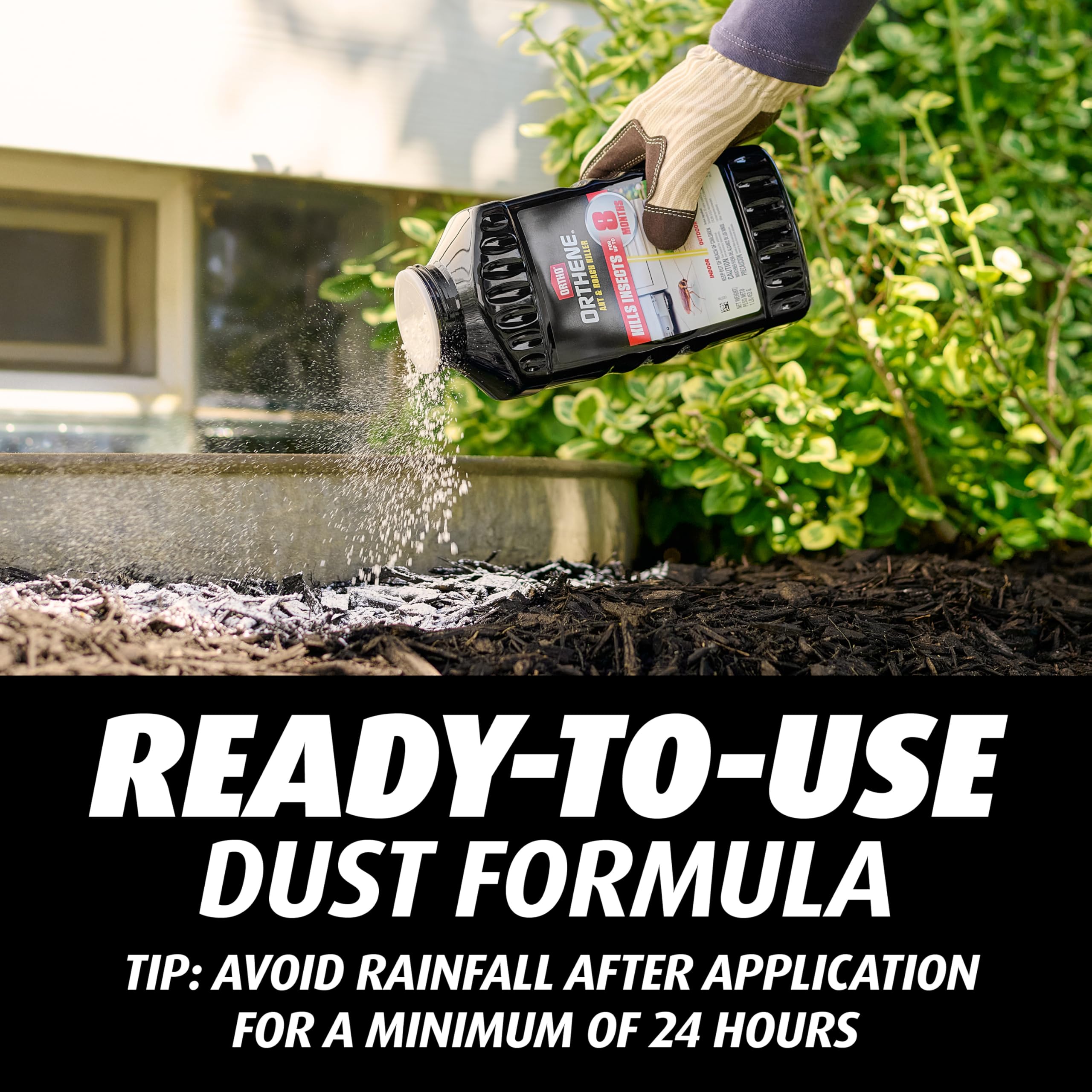 Ortho Orthene dust placed in cracks and crevices for pest control