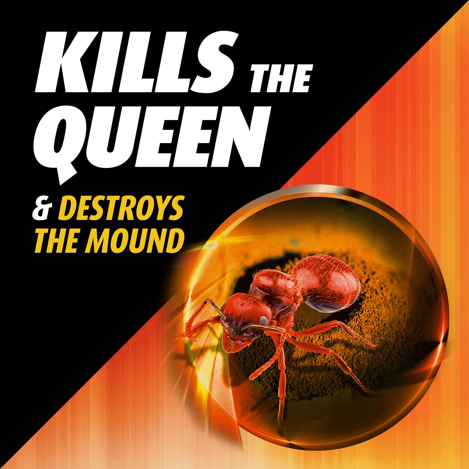 Ortho Orthene Fire Ant Killer quick-kill sixty-minute action for faster yard relief.