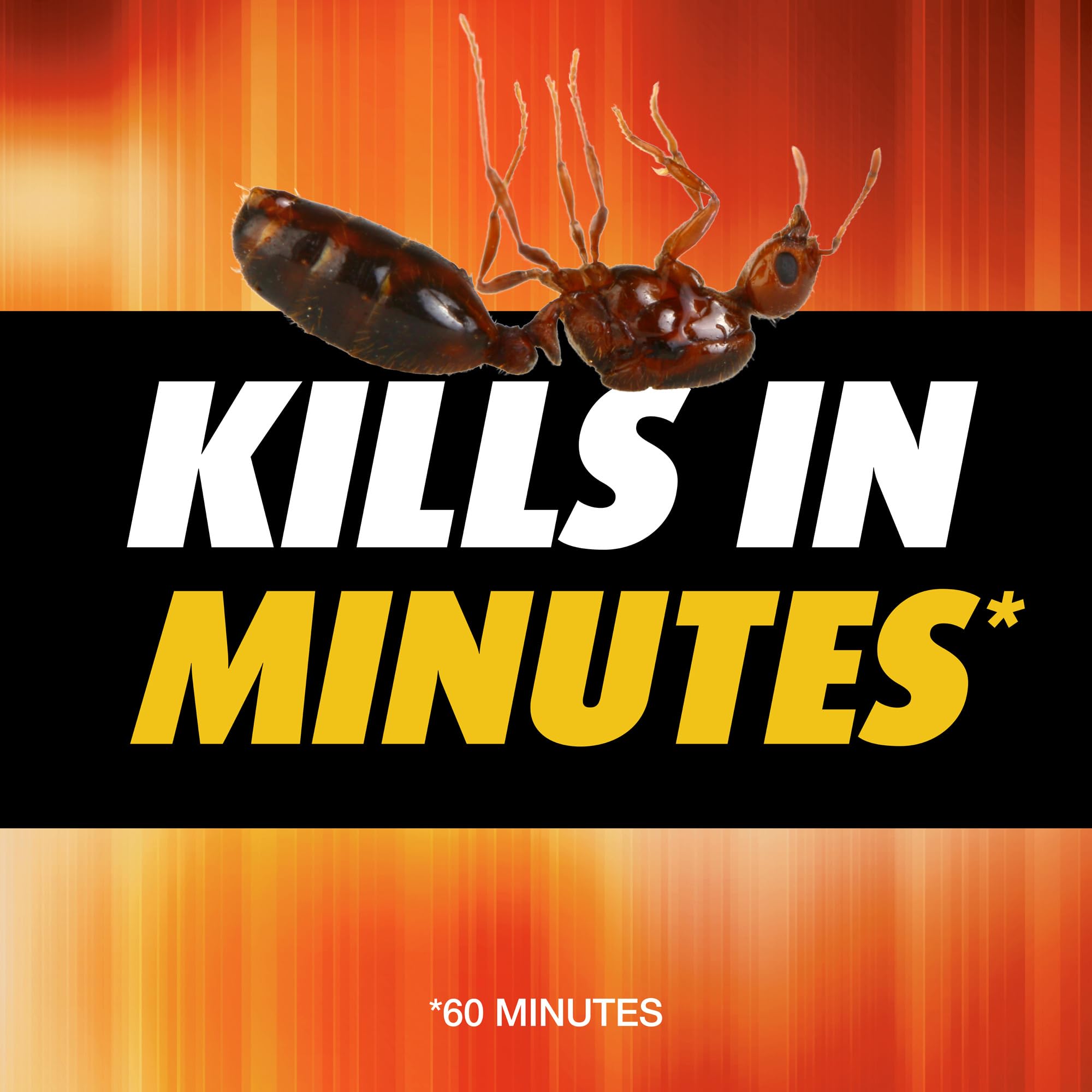 Lawn treatment with Ortho Orthene Fire Ant Killer1 mound destruction in action.