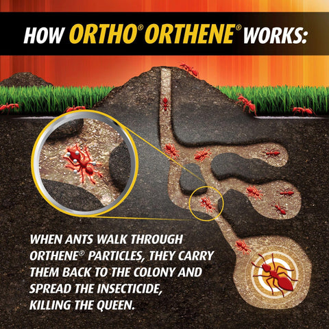 Ortho Orthene Fire Ant Killer1 requires no watering-in for easy application