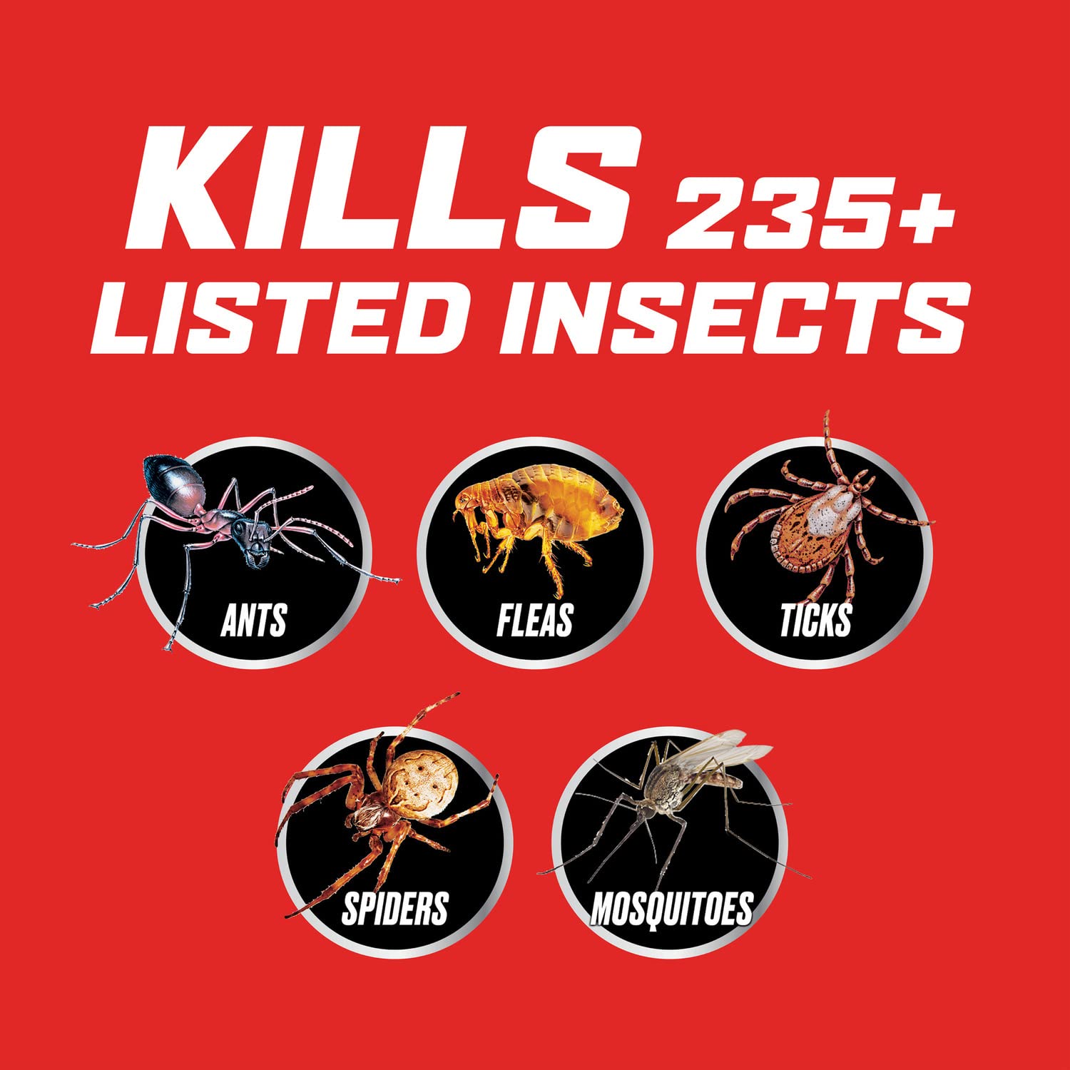 Ortho Outdoor Insect Killer Ready-to-Spray perimeter barrier protects home surroundings