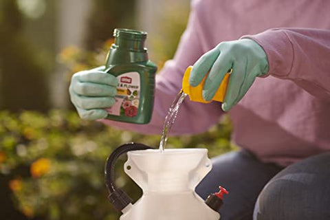 Ortho Rose & Flower concentrate used on outdoor plants in a garden.