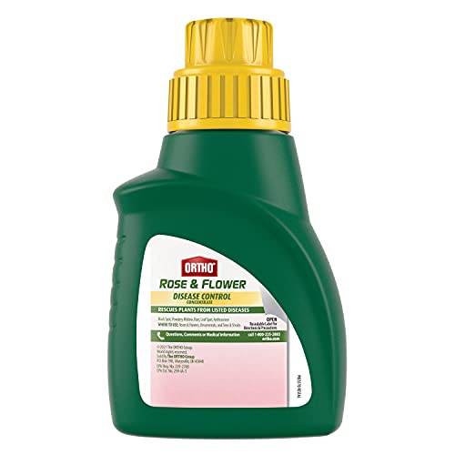 Ortho Rose & Flower concentrate spray applied to rose leaves for protection.