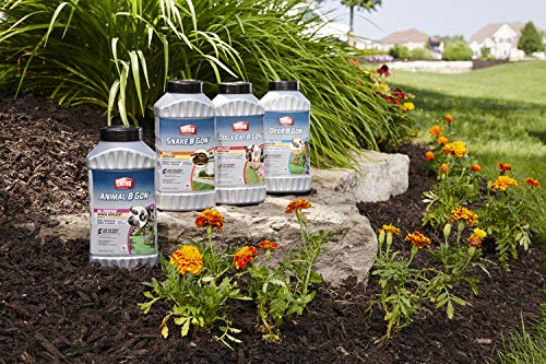 Ortho Snake B Gon granules ready-to-use formula for simple yard protection.