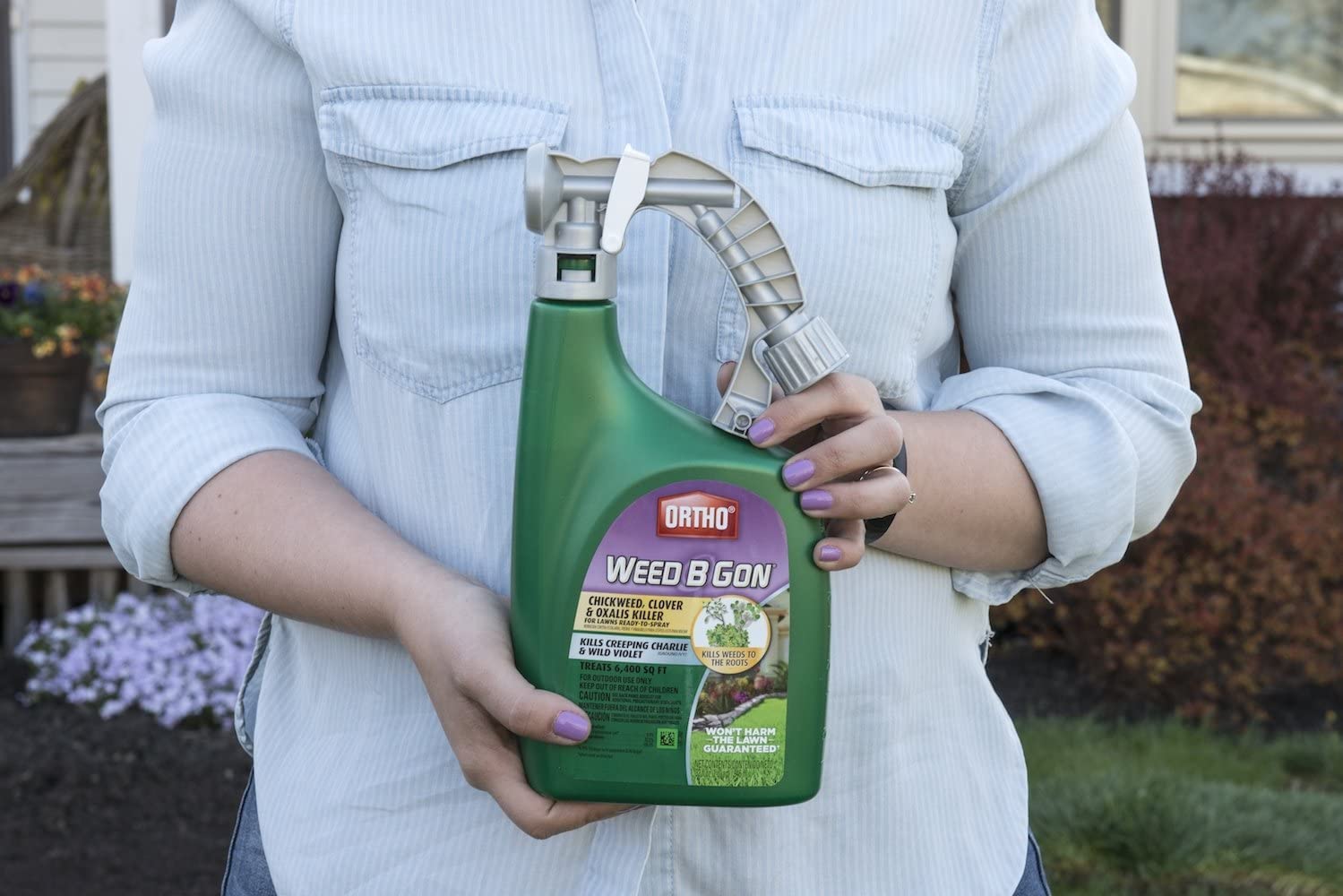 Applying Ortho Weed B Gon on a lawn targets chickweed, clover, and oxalis.