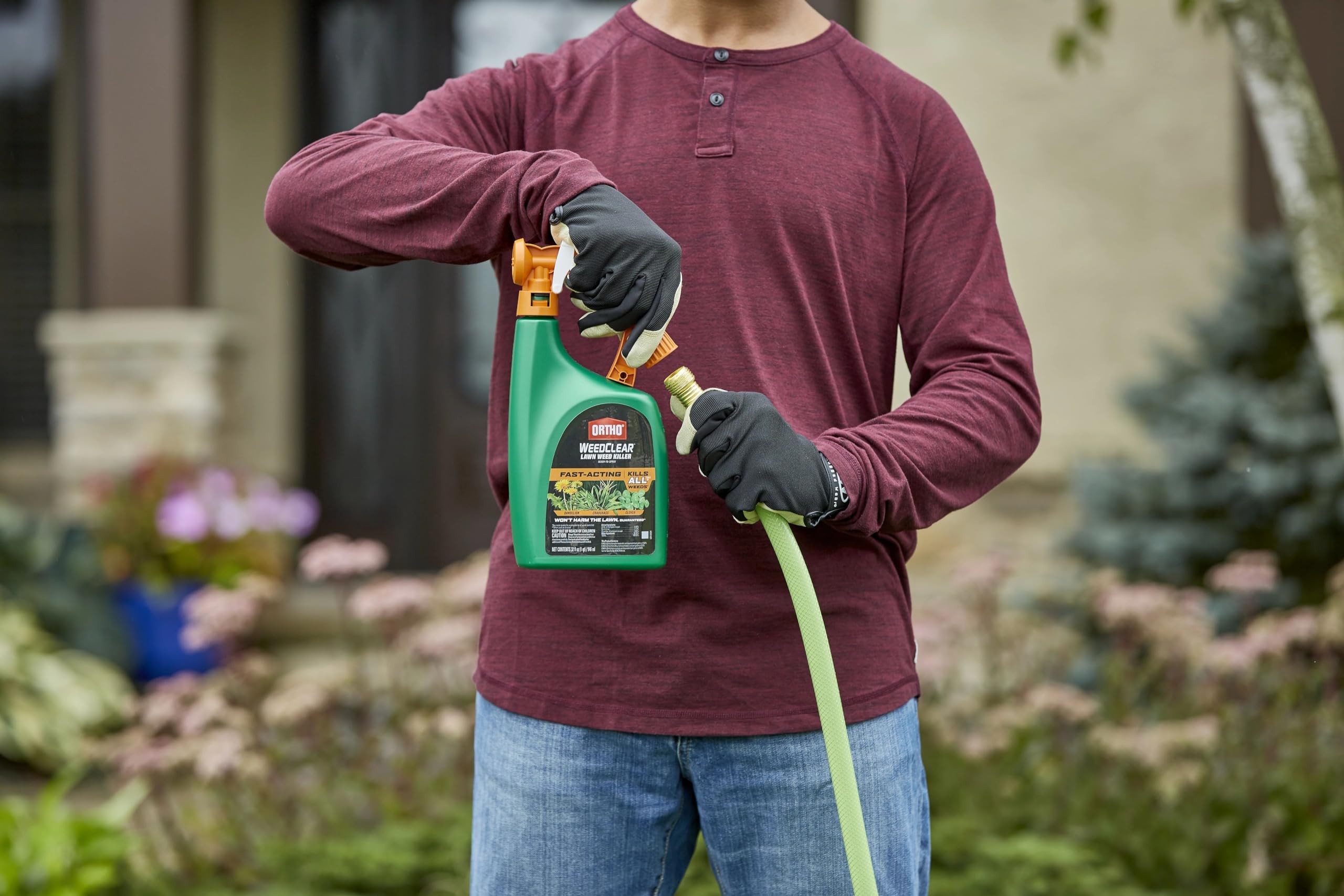 Ortho WeedClear applied to a weed-infested lawn area.