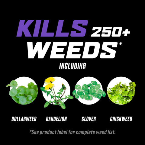 Ortho WeedClear targets clover to reduce turf competition.