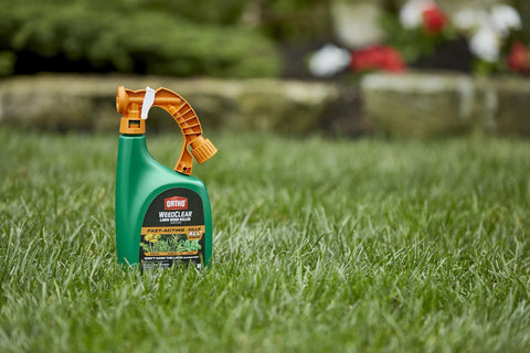 Images of dandelion, crabgrass, and clover treated by Ortho WeedClear.