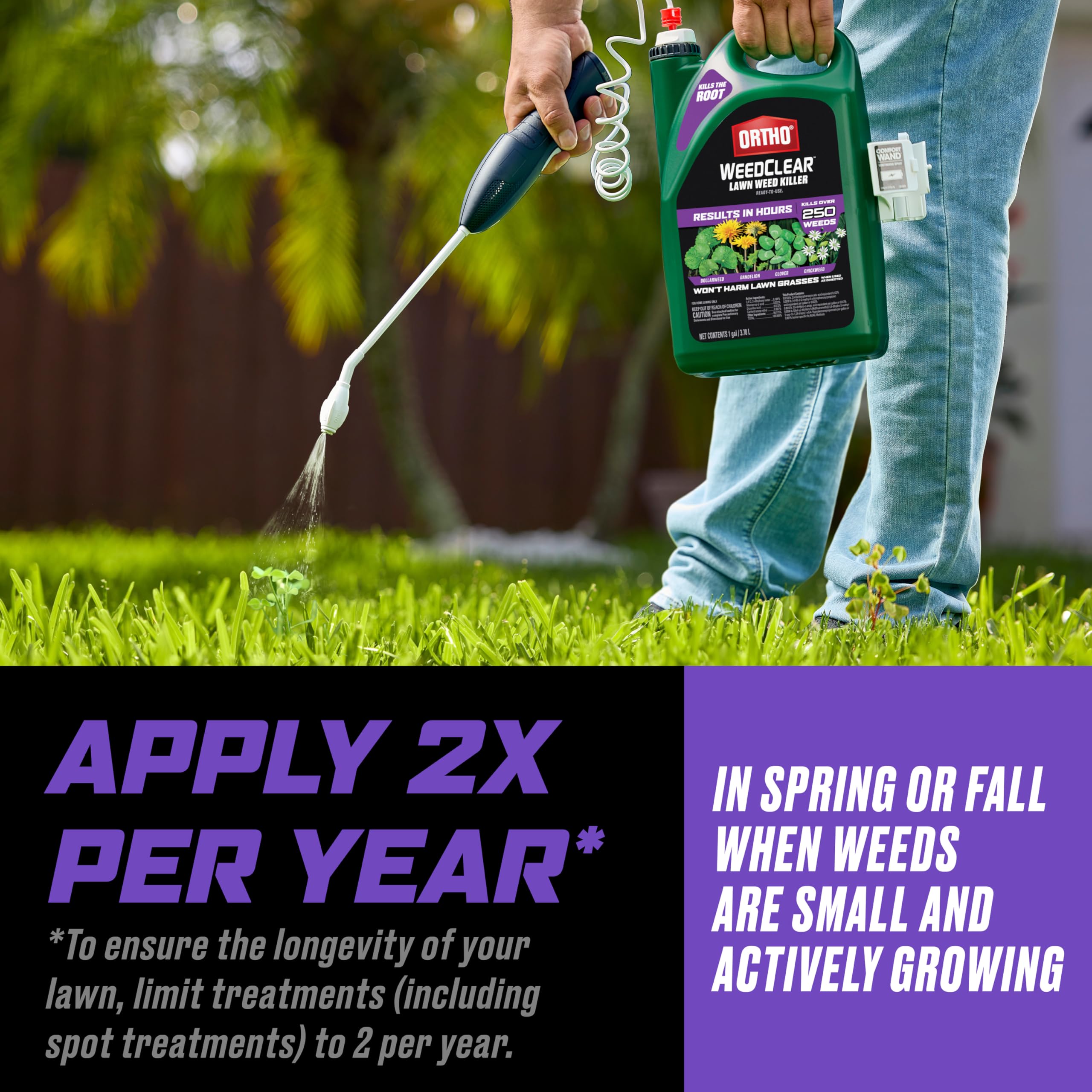 Ortho WeedClear controls dollarweed for healthier southern turf.