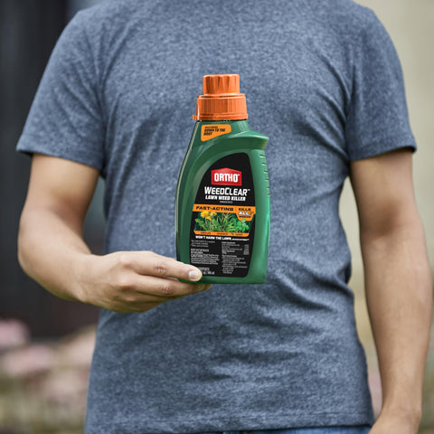 Ortho WeedClear fast-acting weed-kill effect on lawn weeds
