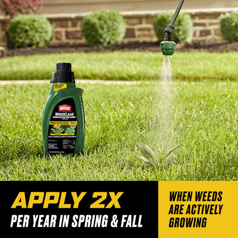 Ortho WeedClear hose-end applicator attached for precise spray.