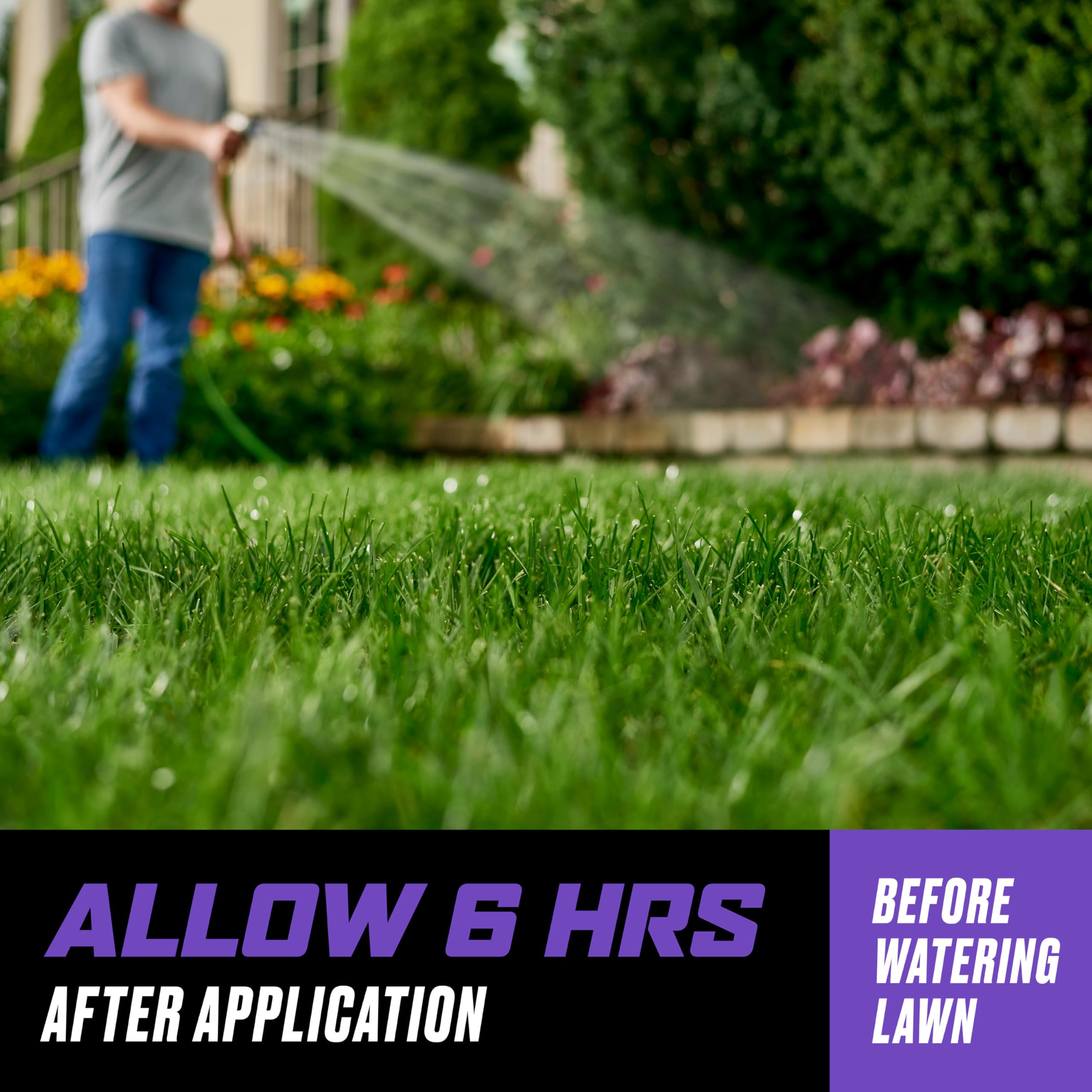 Ortho WeedClear spray on actively growing weeds for quick action.
