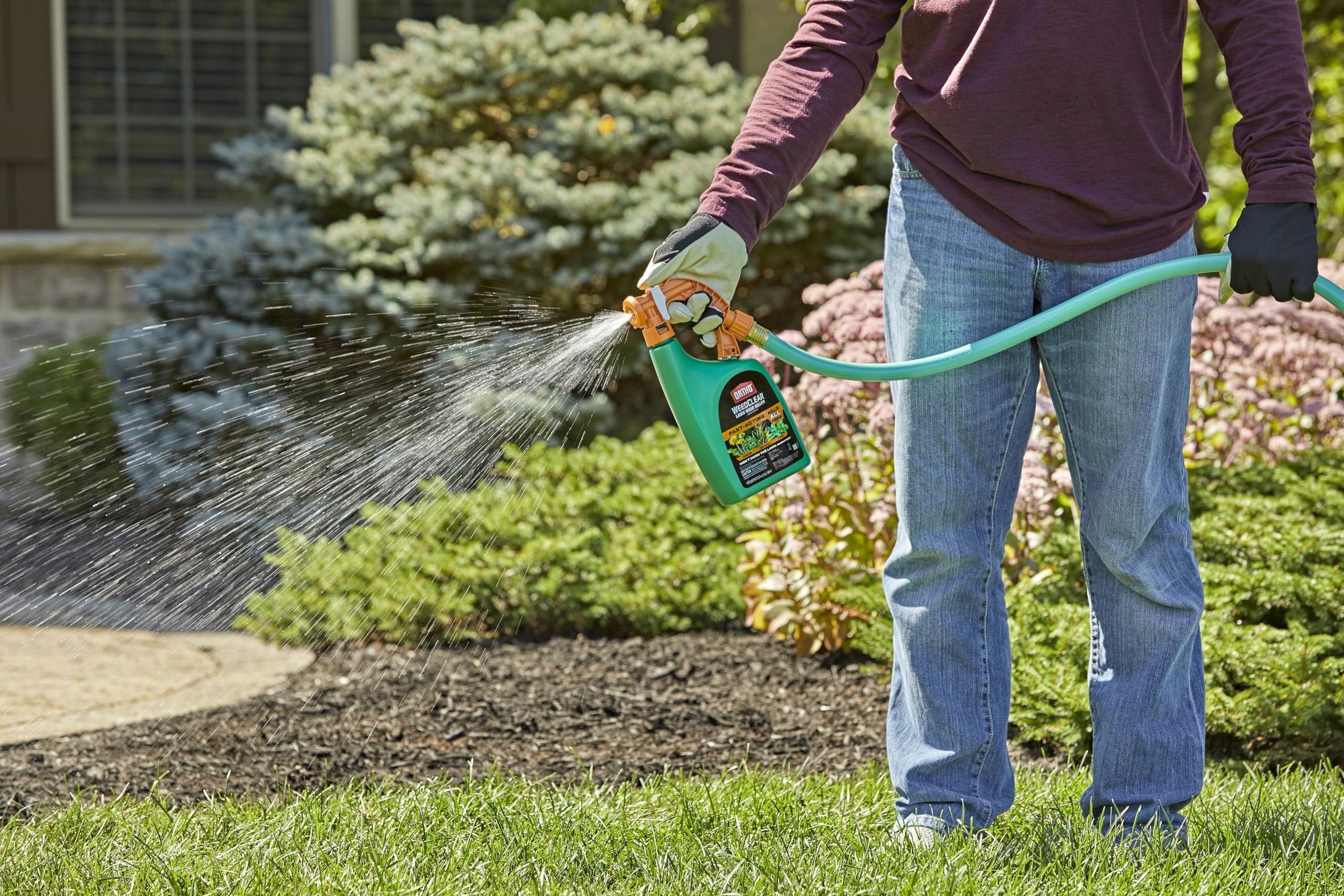 Ortho WeedClear product demonstrating rainproof feature after application.