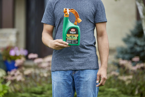 Ortho WeedClear ready-to-spray product in use on a lawn.