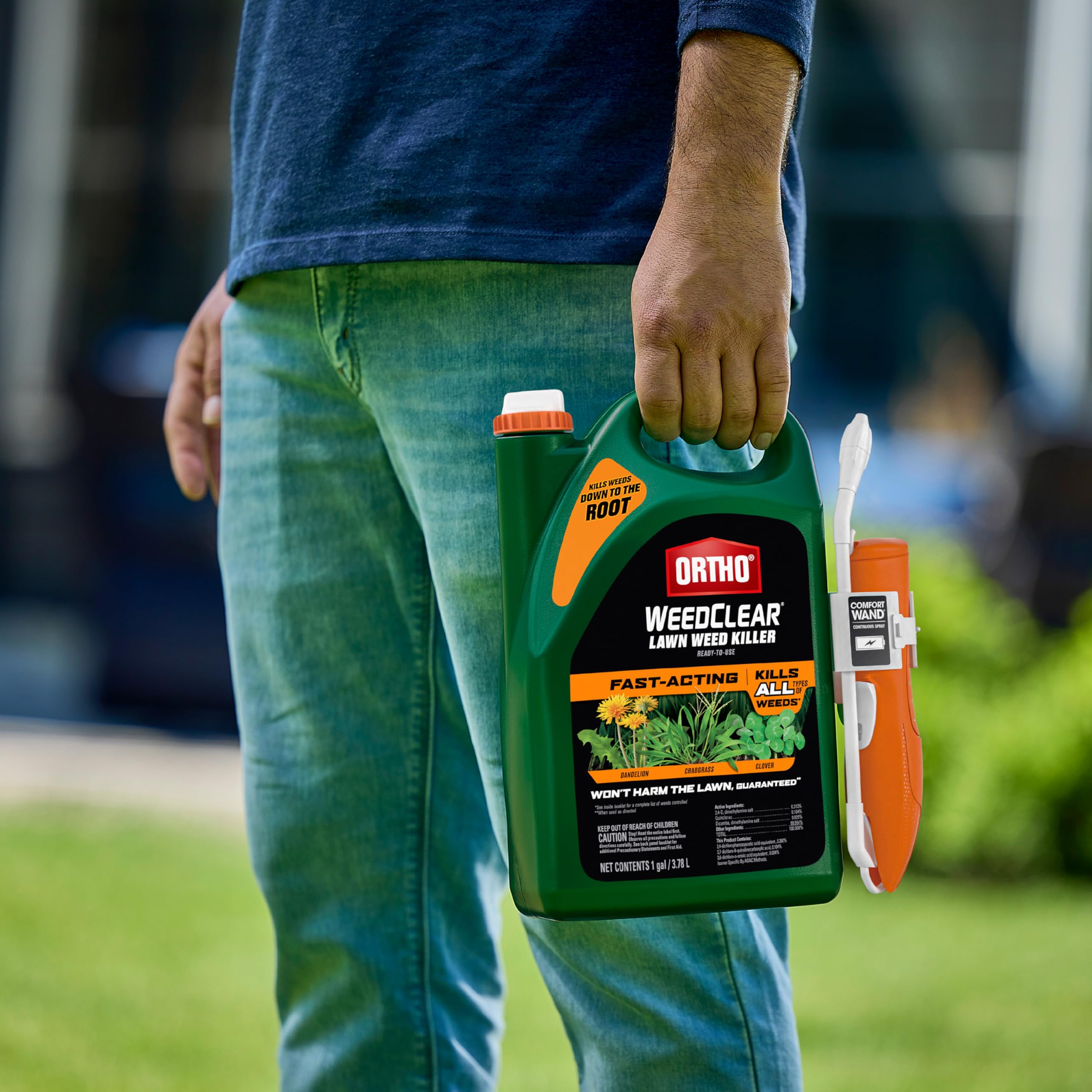 Ortho WeedClear being used to spray lawn weeds for quick results.