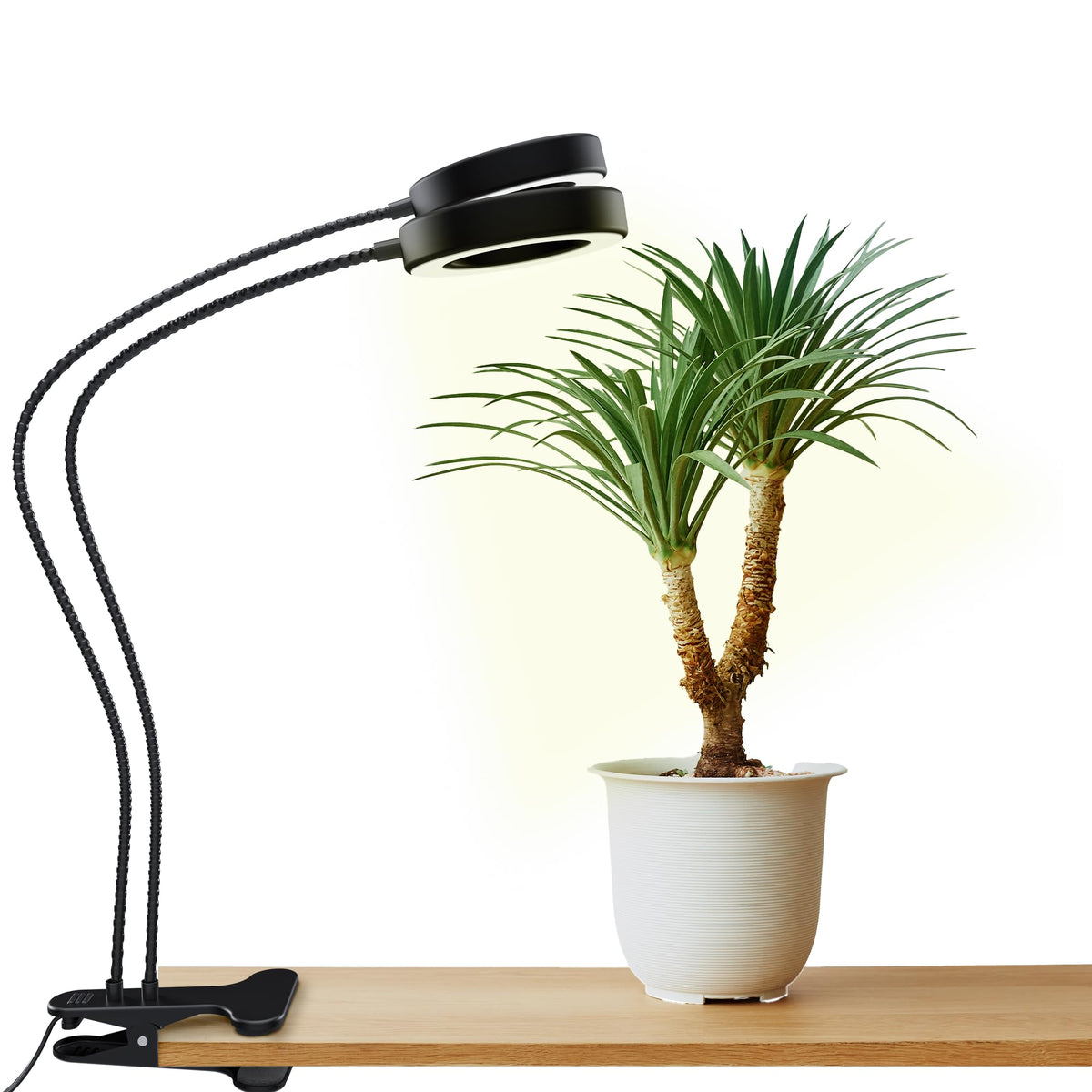 OSANI 24-inch gooseneck arm adjustable setup for precise light positioning