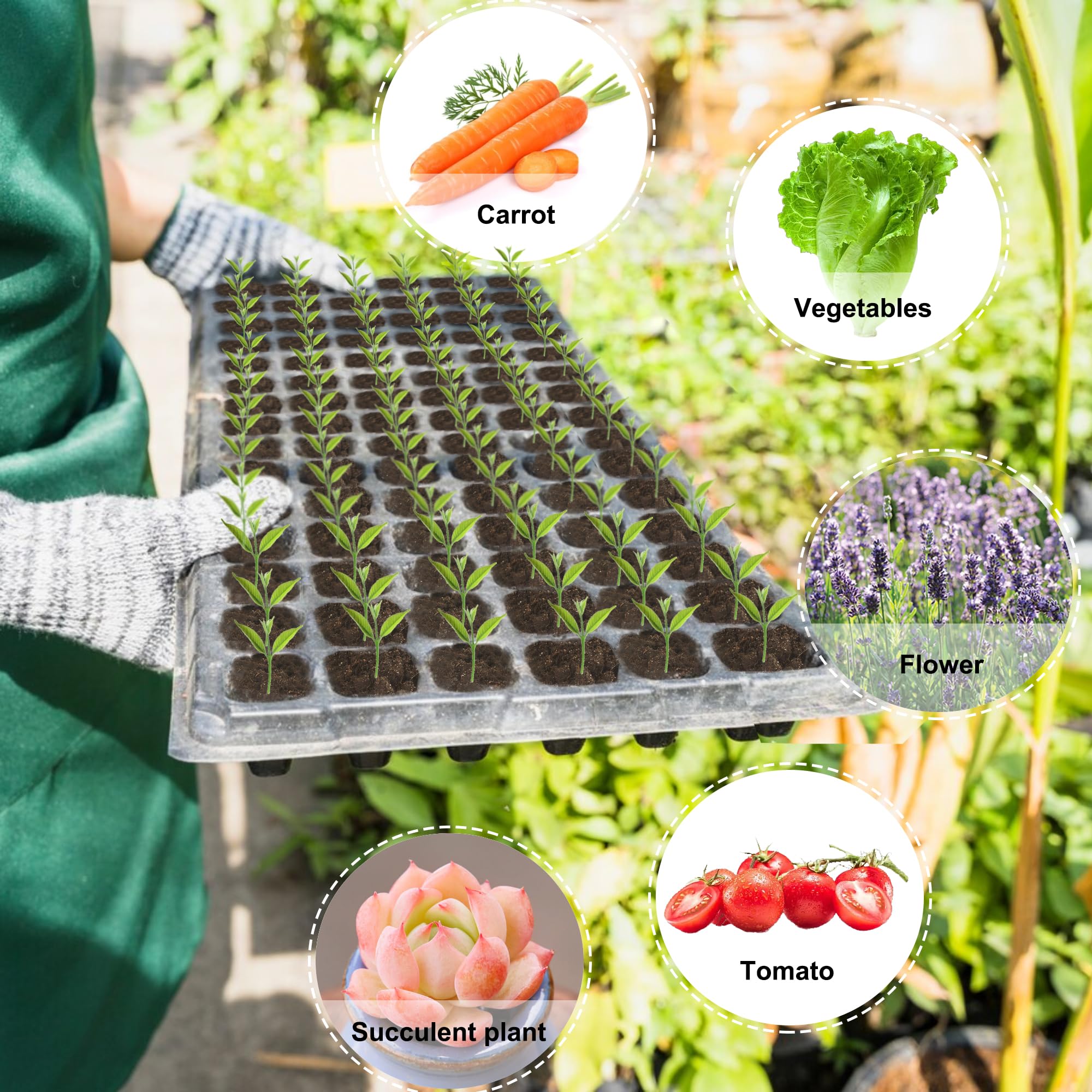 Oscorna base tray doubles as microgreens or propagation tray