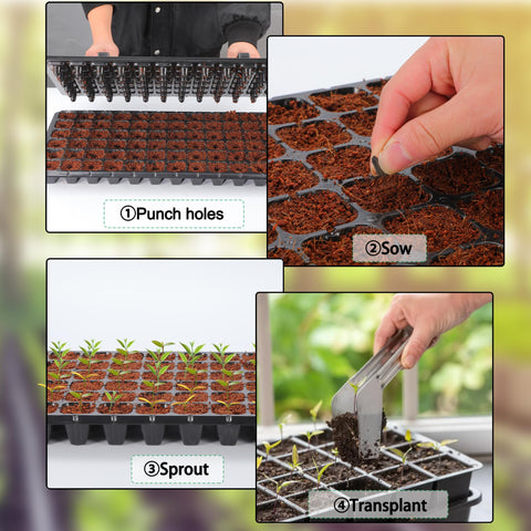 Oscorna tray drainage holes prevent waterlogging in seedlings
