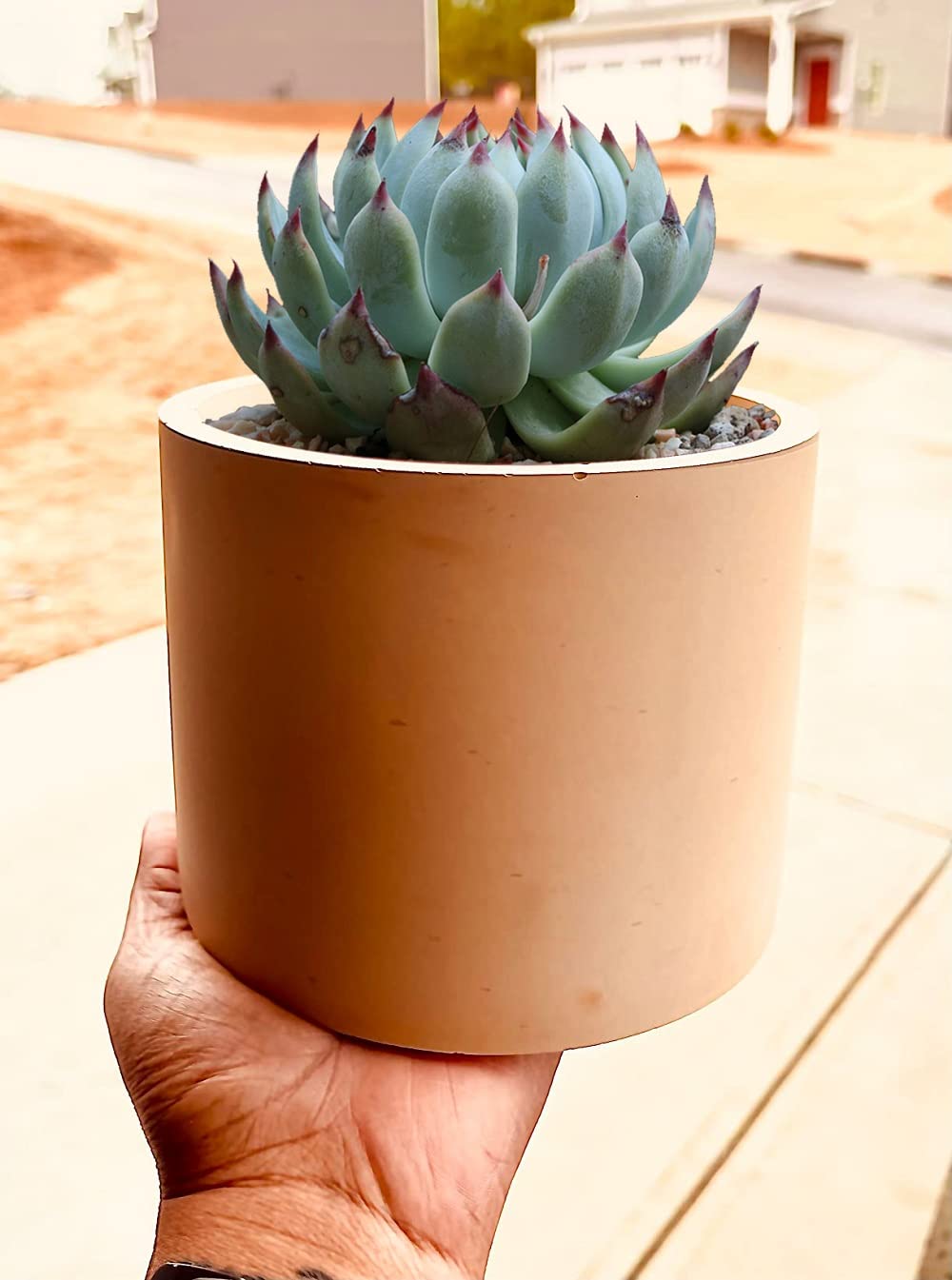 Osilifen big round planter mold multi-use demo with concrete and clay options