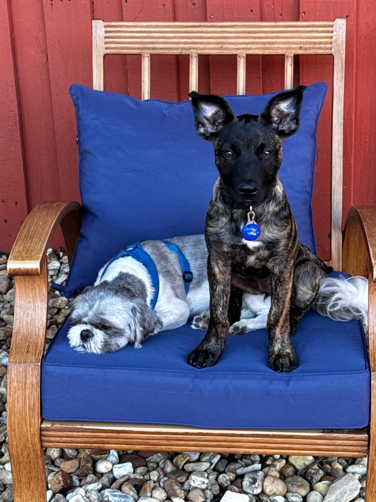 Outdoor chair with Oslimea blue covers for a modern patio update