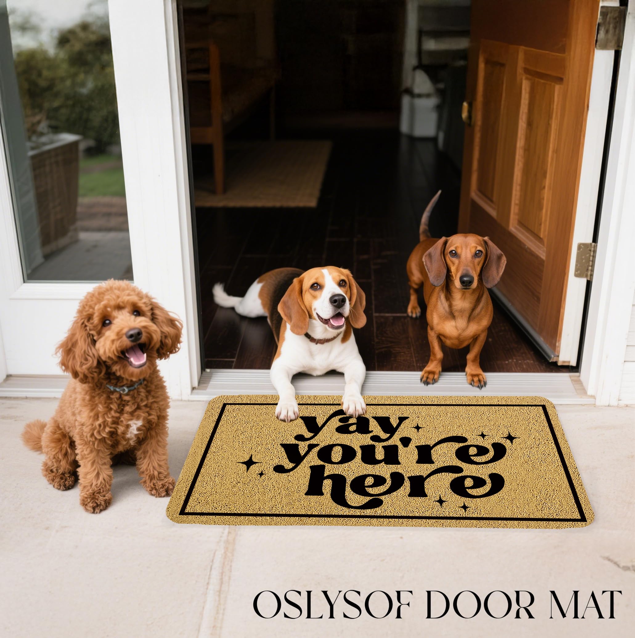 OSLYSOF front door entry mat with eye catching design adds personality to your home.