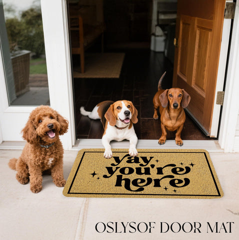 OSLYSOF front door entry mat with eye catching design adds personality to your home.