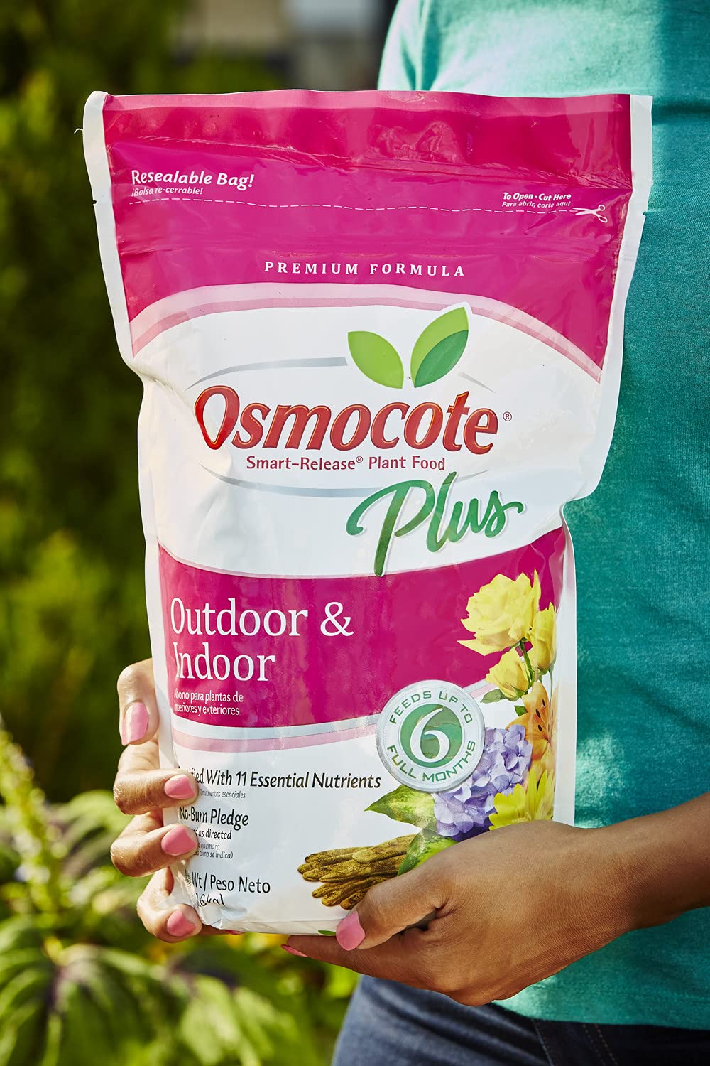 Osmocote applied to potted plants promotes steady growth