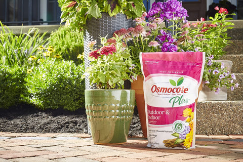 Osmocote outdoor indoor plant care in use with thriving container plants