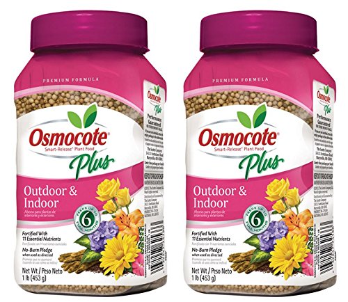 Osmocote Plus 1lb bottle closeup showing smart-release formula for long-lasting feeding.