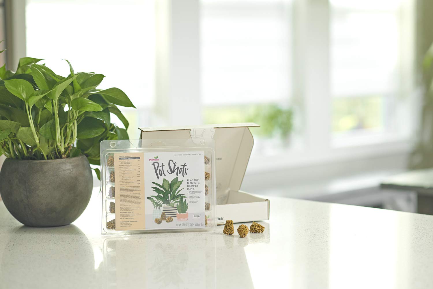 Osmocote PotShots in indoor plant pot with healthy growth vibe