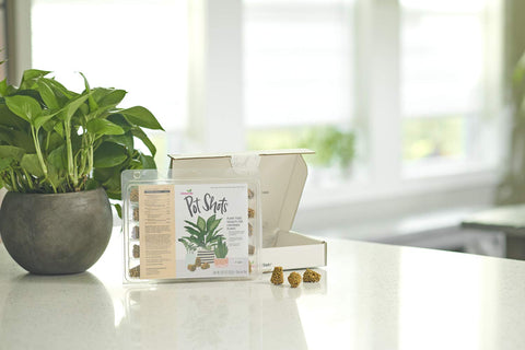 Osmocote PotShots in indoor plant pot with healthy growth vibe