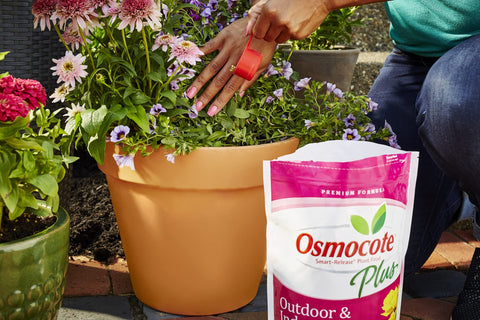Osmocote six-month feeding cycle supports season-long health
