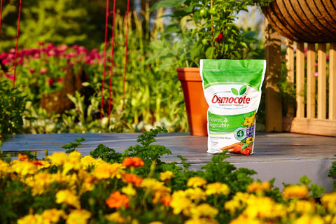 Osmocote Smart-Release 14-14-14 supports healthy roots and vibrant blooms.