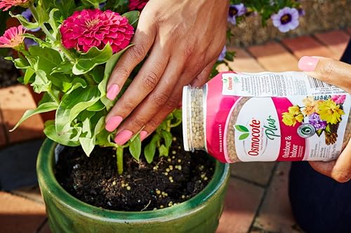 Osmocote covers up to 37 sq ft per 1 lb container