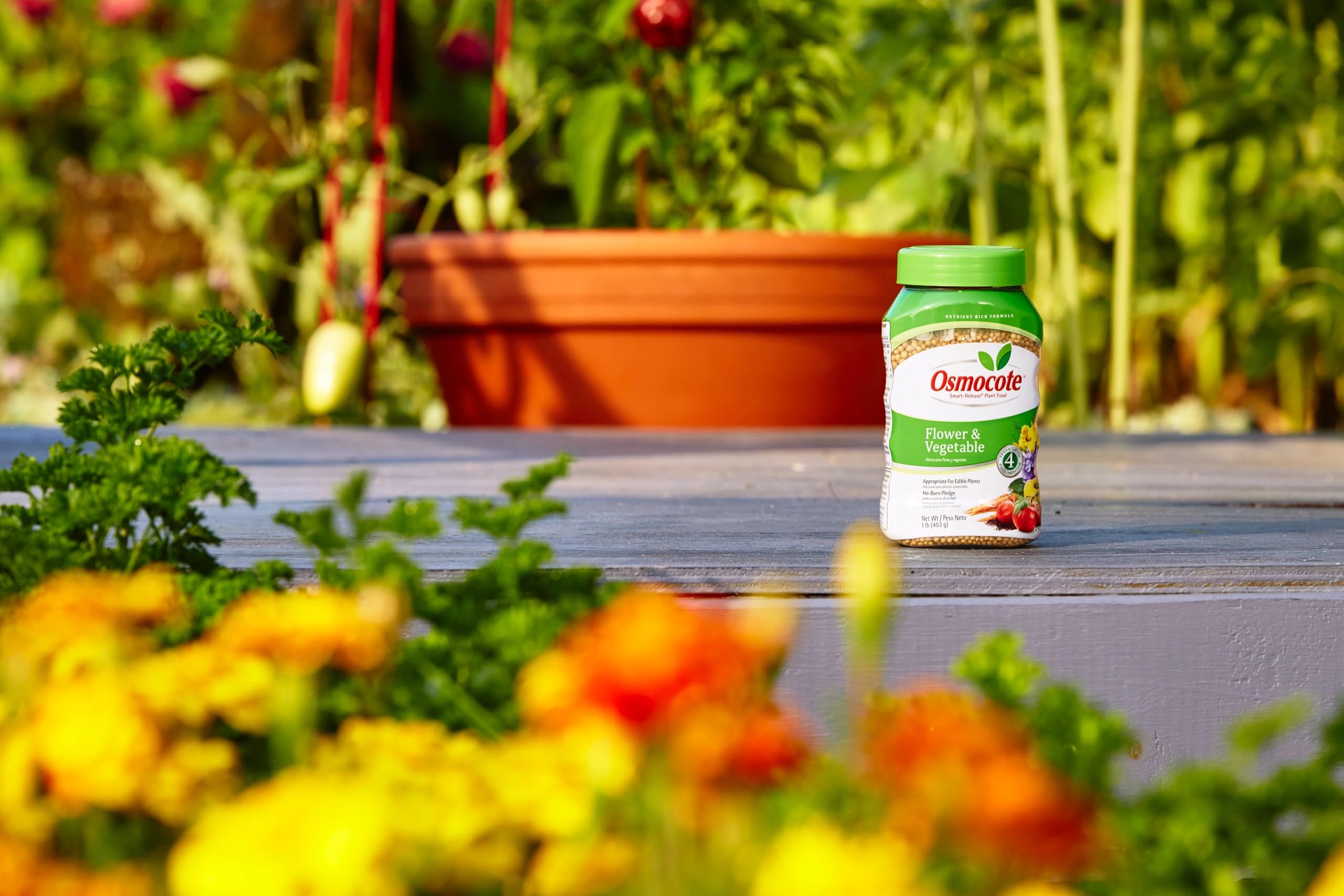 Osmocote Smart-Release plant food applied in raised beds for vegetables and blooms.