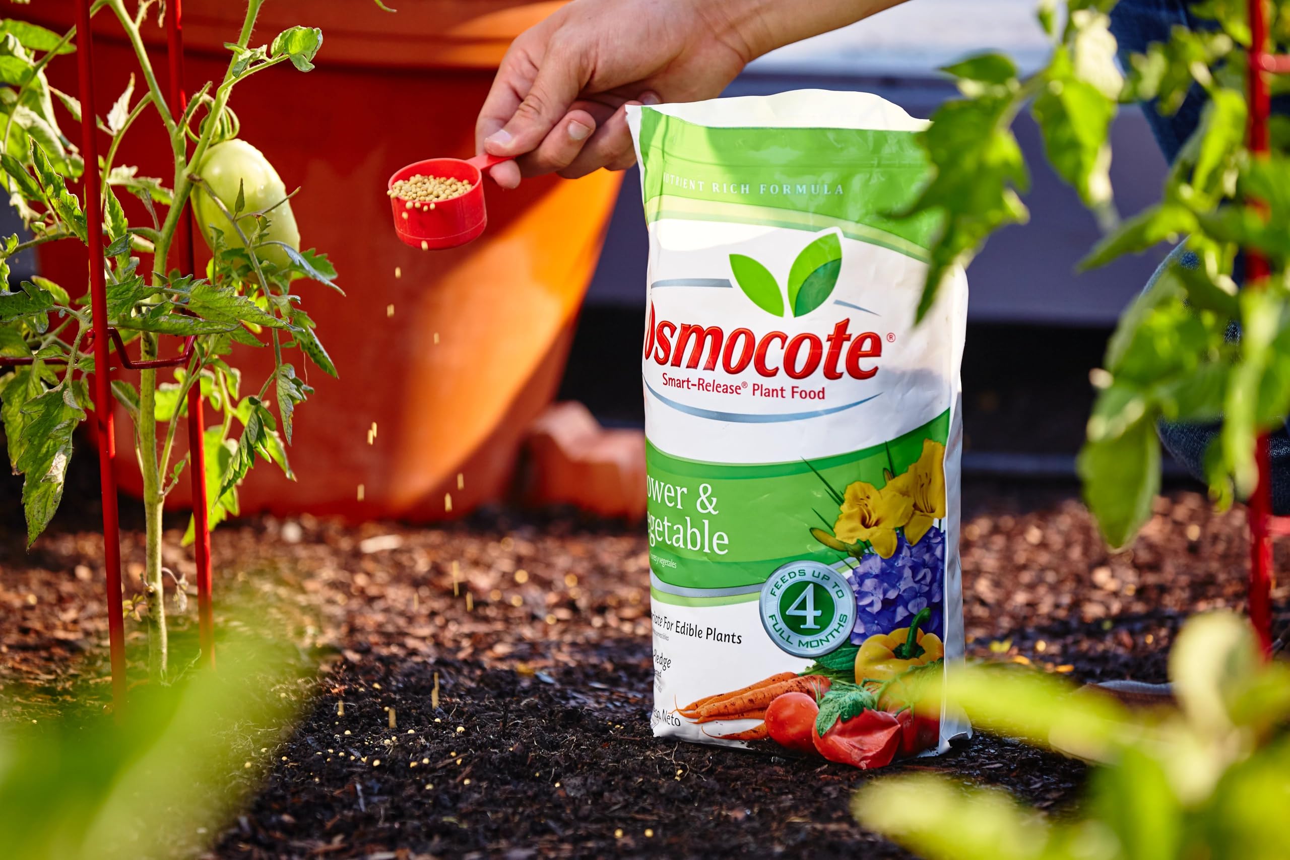 Raised bed garden demonstrates months of steady Osmocote feeding.