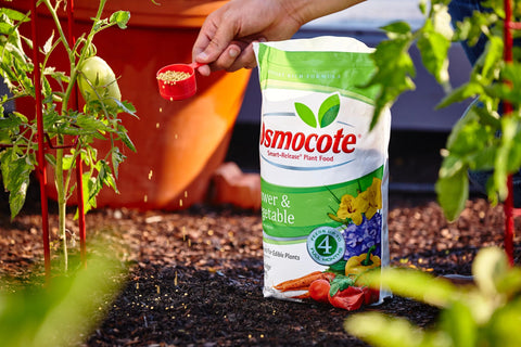 Raised bed garden demonstrates months of steady Osmocote feeding.