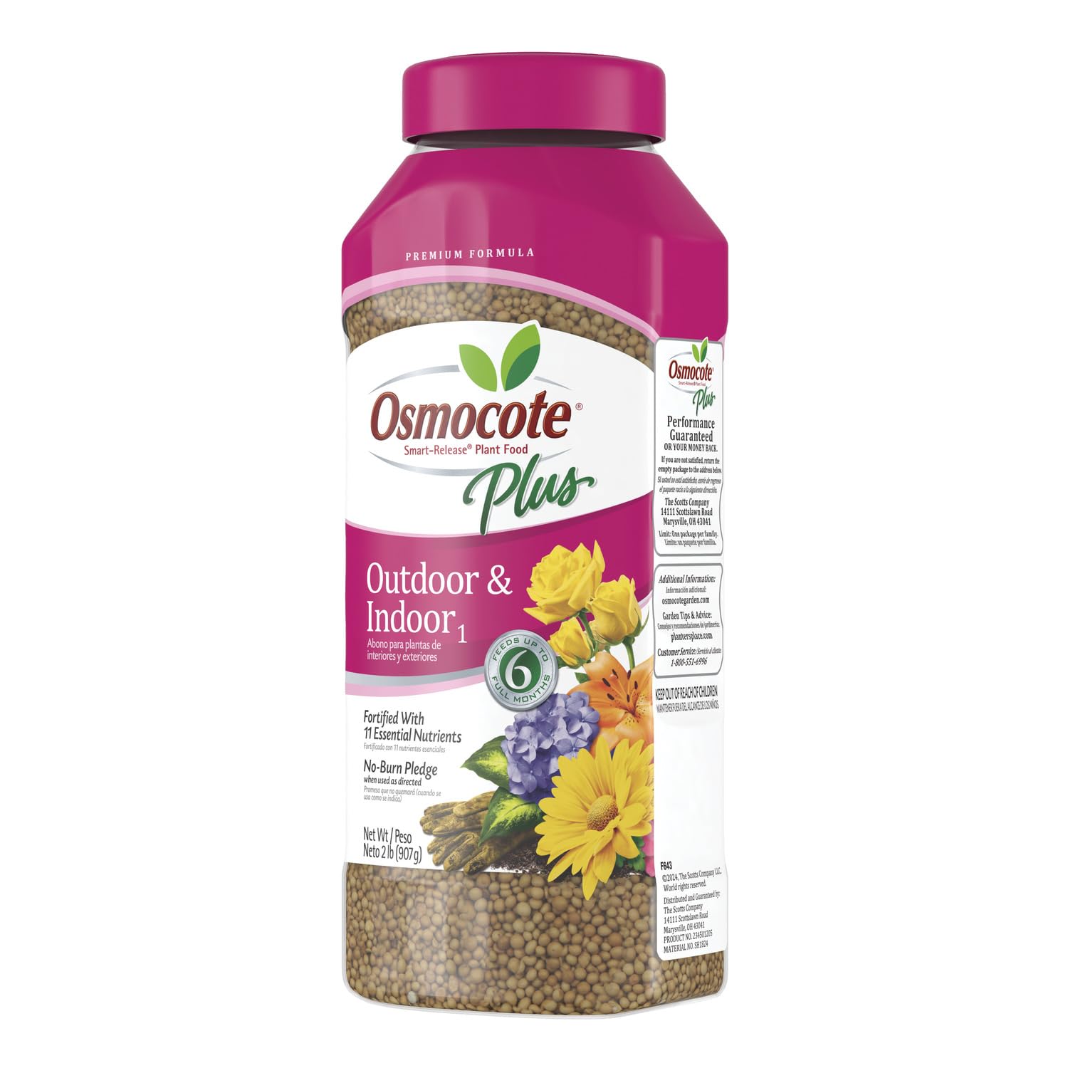 Osmocote indoor plants thrive with balanced feed on a windowsill schedule.
