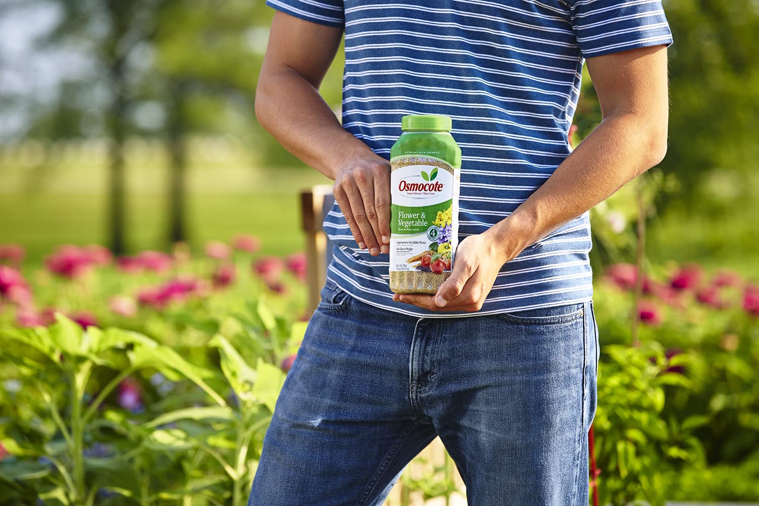 Osmocote Smart-Release granules closeup ready for long-lasting garden feeding.