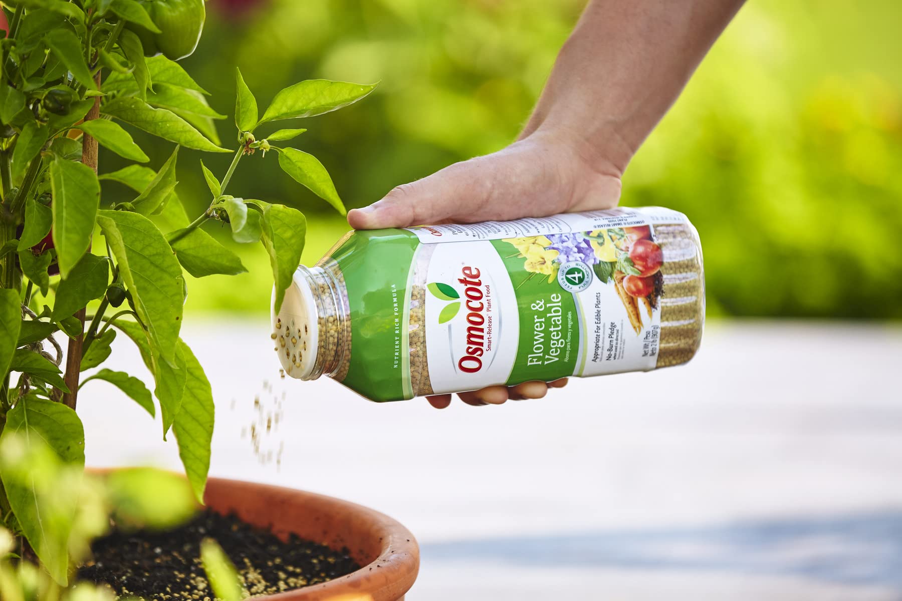 Osmocote Smart-Release plant food supports season-long garden performance.