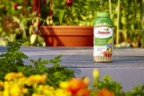 Osmocote Smart-Release plant food in vegetable garden promotes healthy growth.
