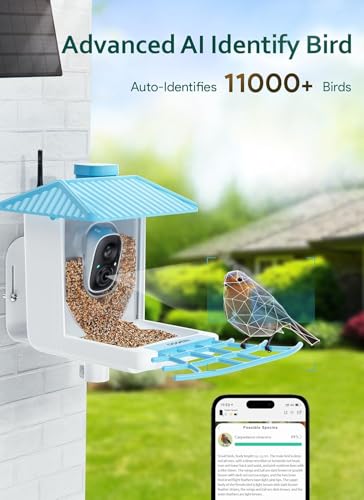Osoeri 1080p HD video captures vibrant birds even in low light.