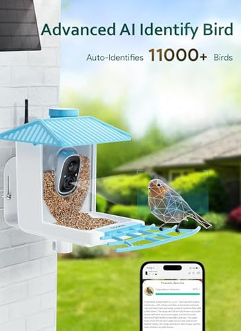 Osoeri 1080p HD video captures vibrant birds even in low light.