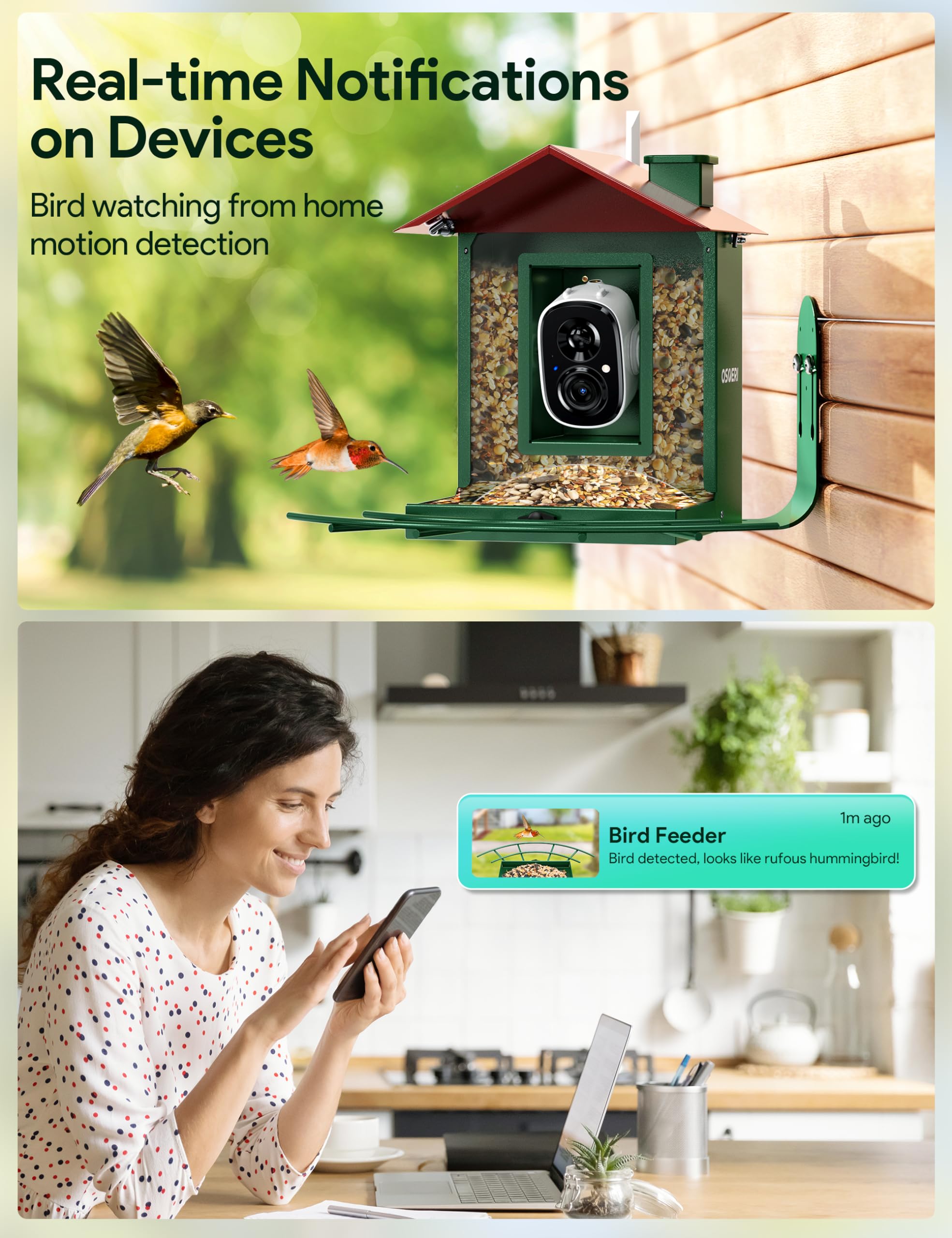 Osoeri 1080p camera captures day and night visitors clearly