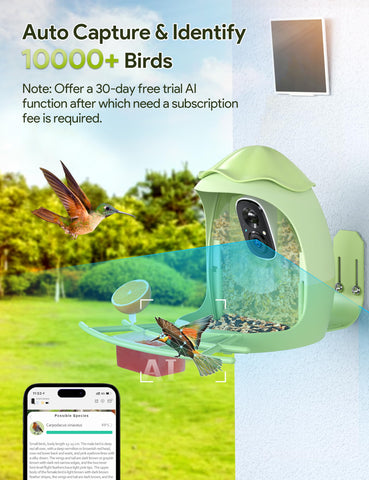 Osoeri 2K HD live video delivers crisp bird viewing.