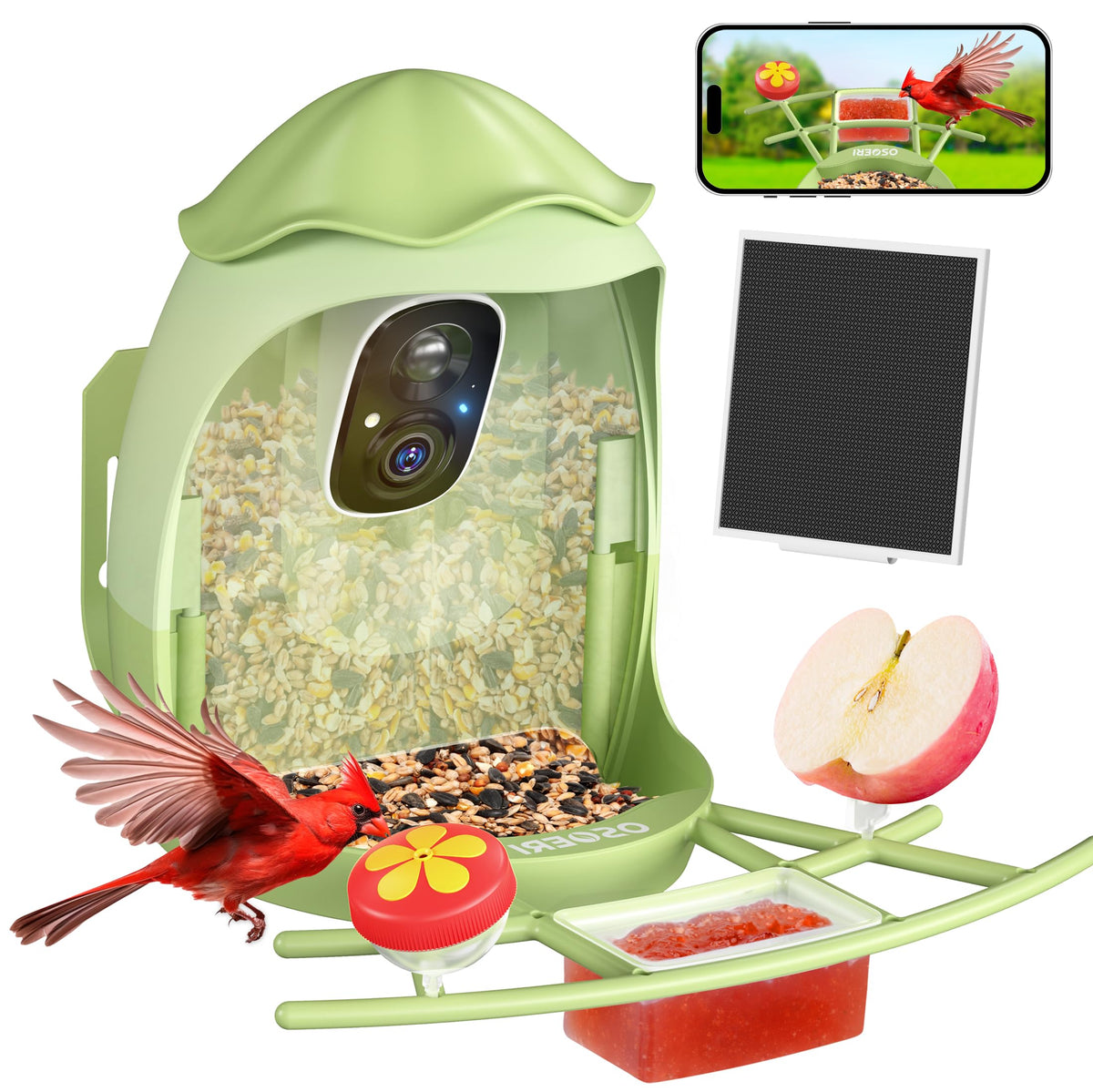 Osoeri AI bird feeder identifies 11,000 species for curious backyard watchers.