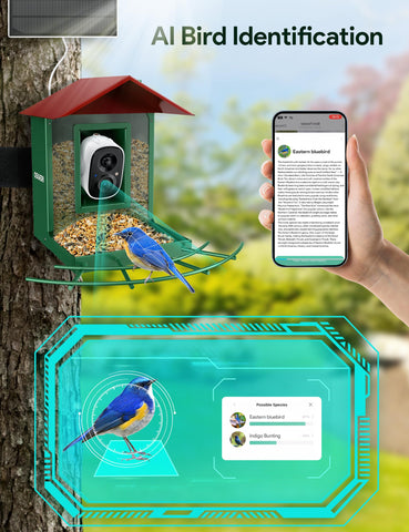 Osoeri AI bird ID app displays species details instantly
