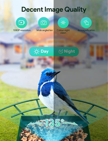 Osoeri instant arrival alerts notify you of visiting birds