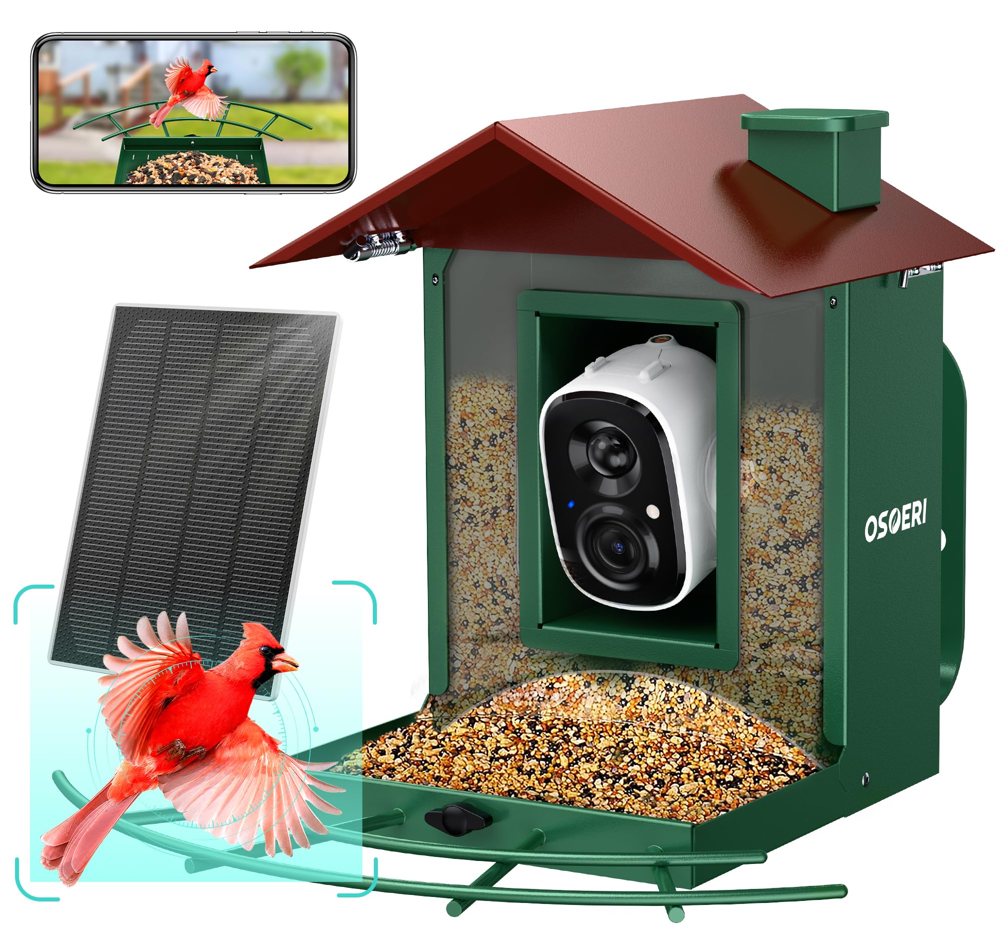 Osoeri bird feeder camera outdoors shows setup for real-time bird watching